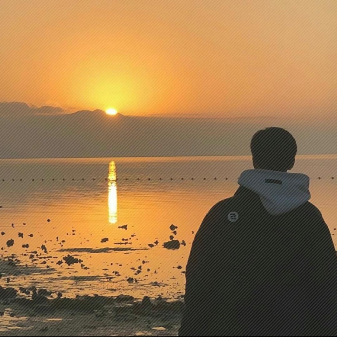 顾安