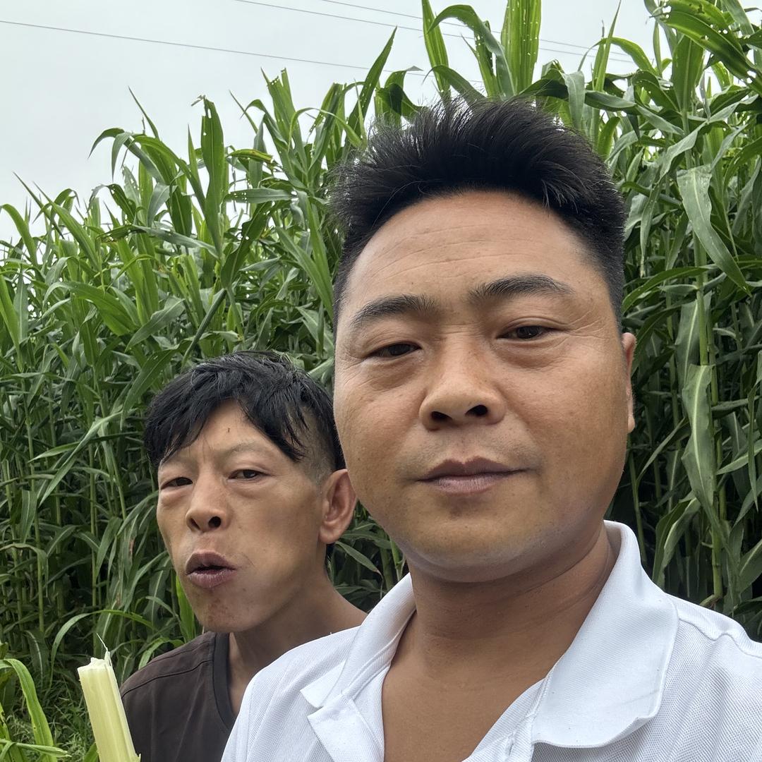 小热点(护猴哥)