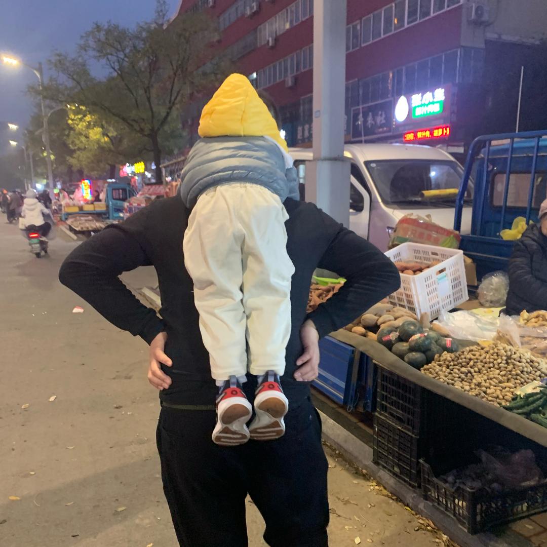 金壳子