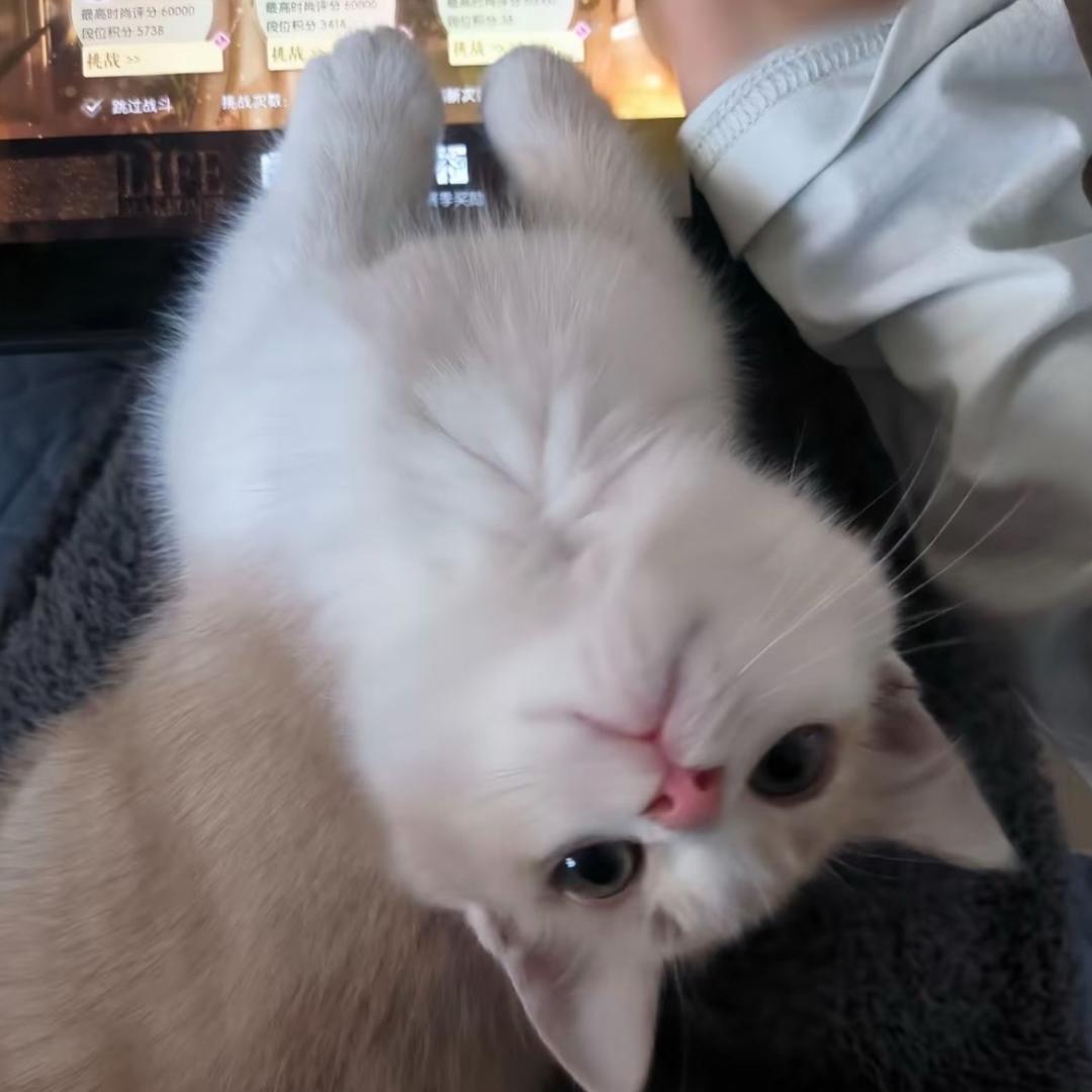 处女座