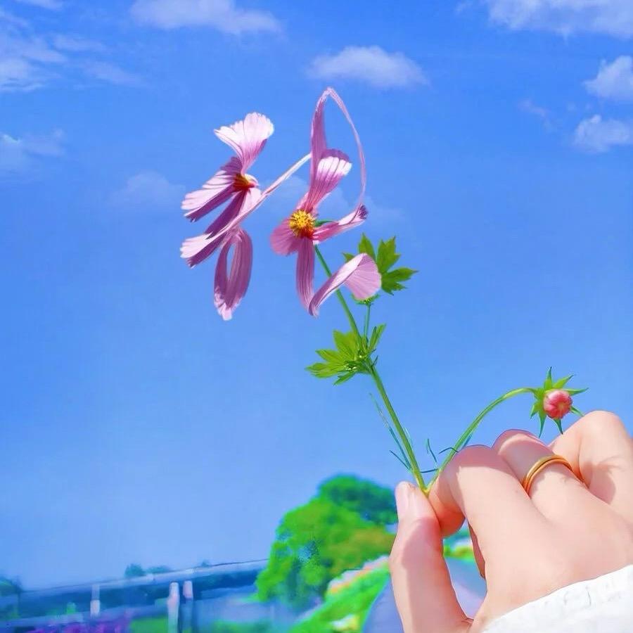 🌷张较瘦并不瘦