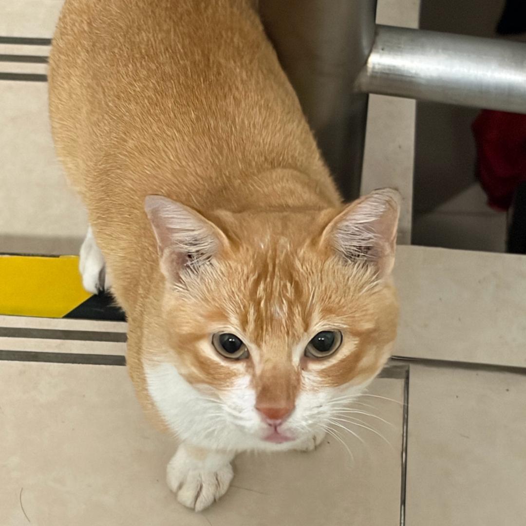 爱吃西瓜的泥🍉