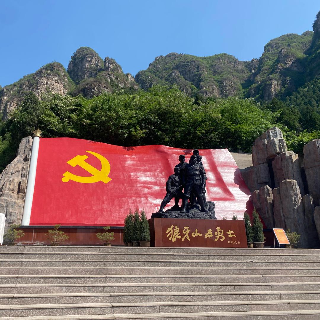 阳阳