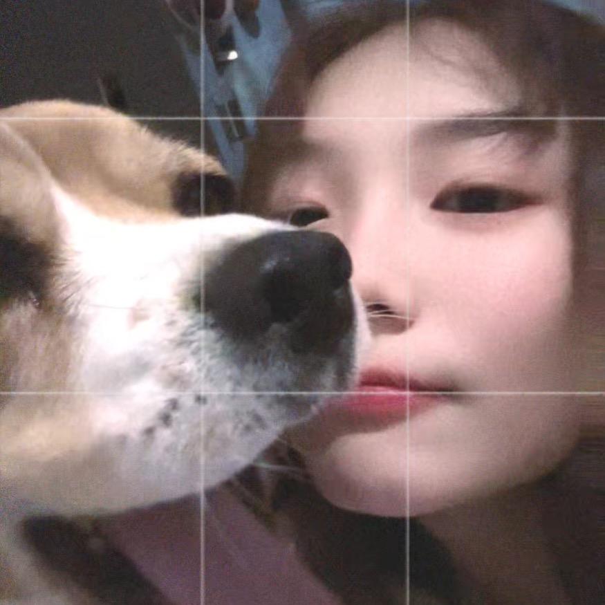 励志做只比格犬