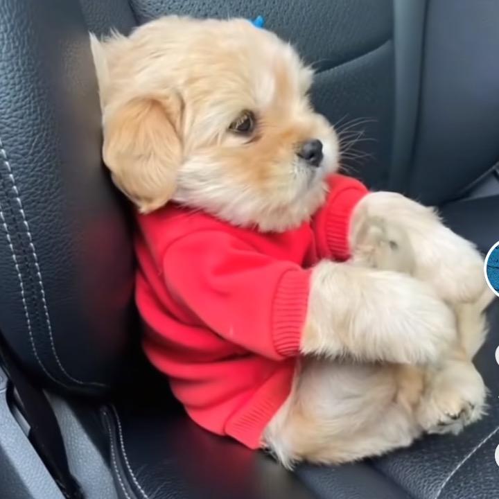KK大王❤️（有纹身的都是你爹）