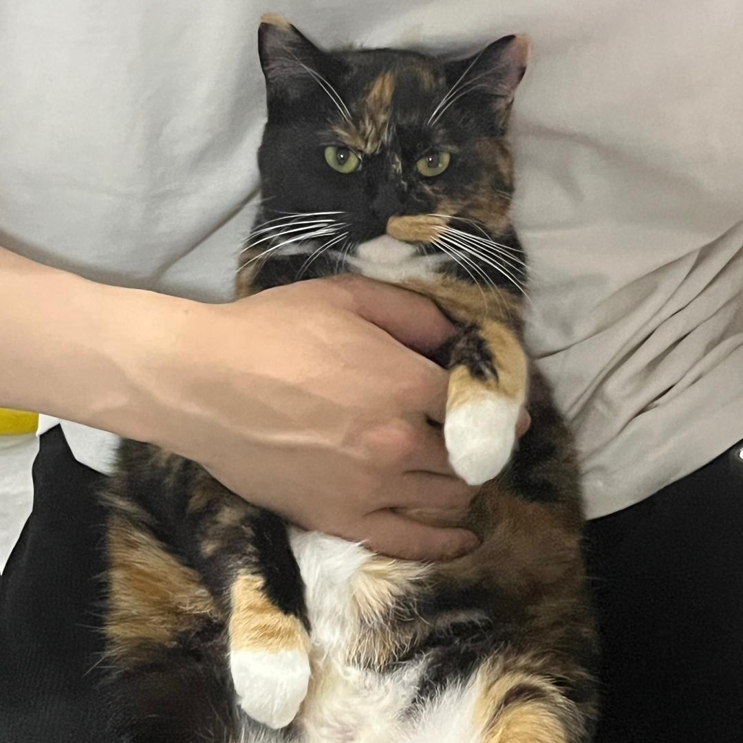 行行好呀行行好