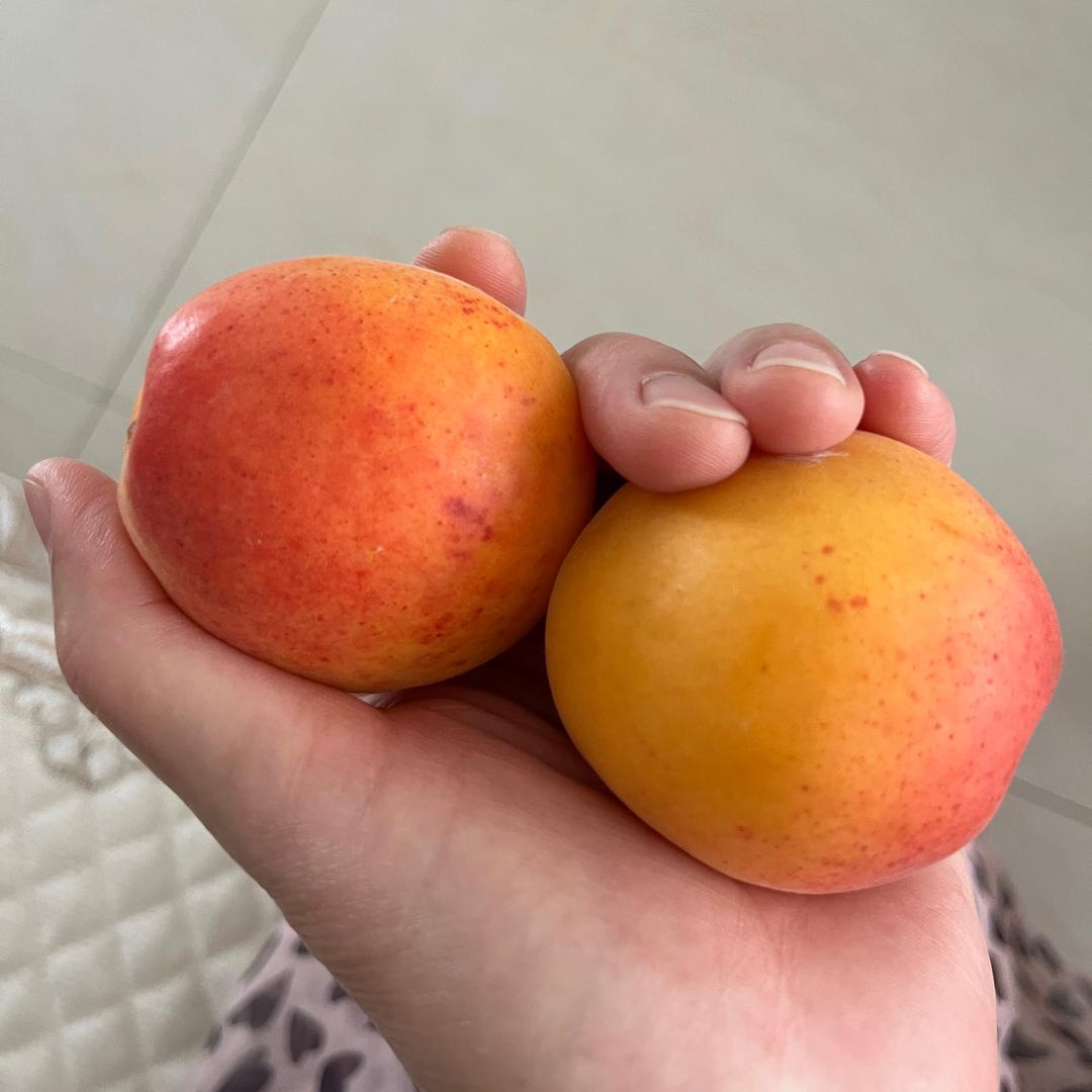 一米阳光☀️