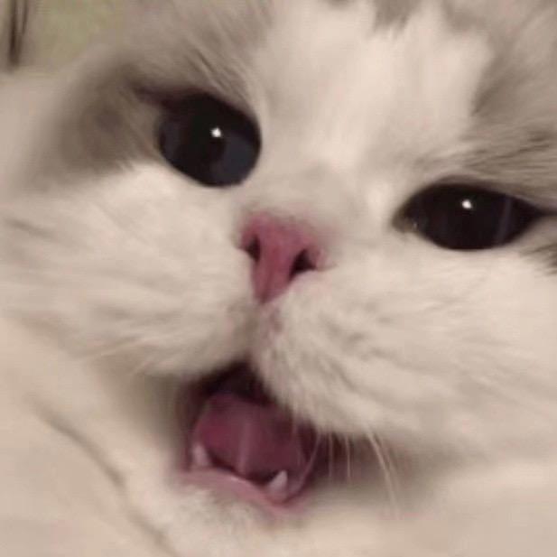 听兰亭序