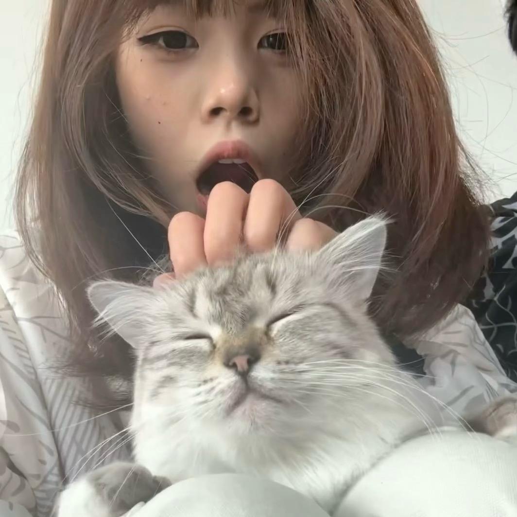 小溪在这儿