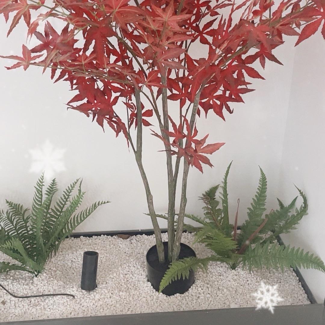 星宠起点销售——小陈