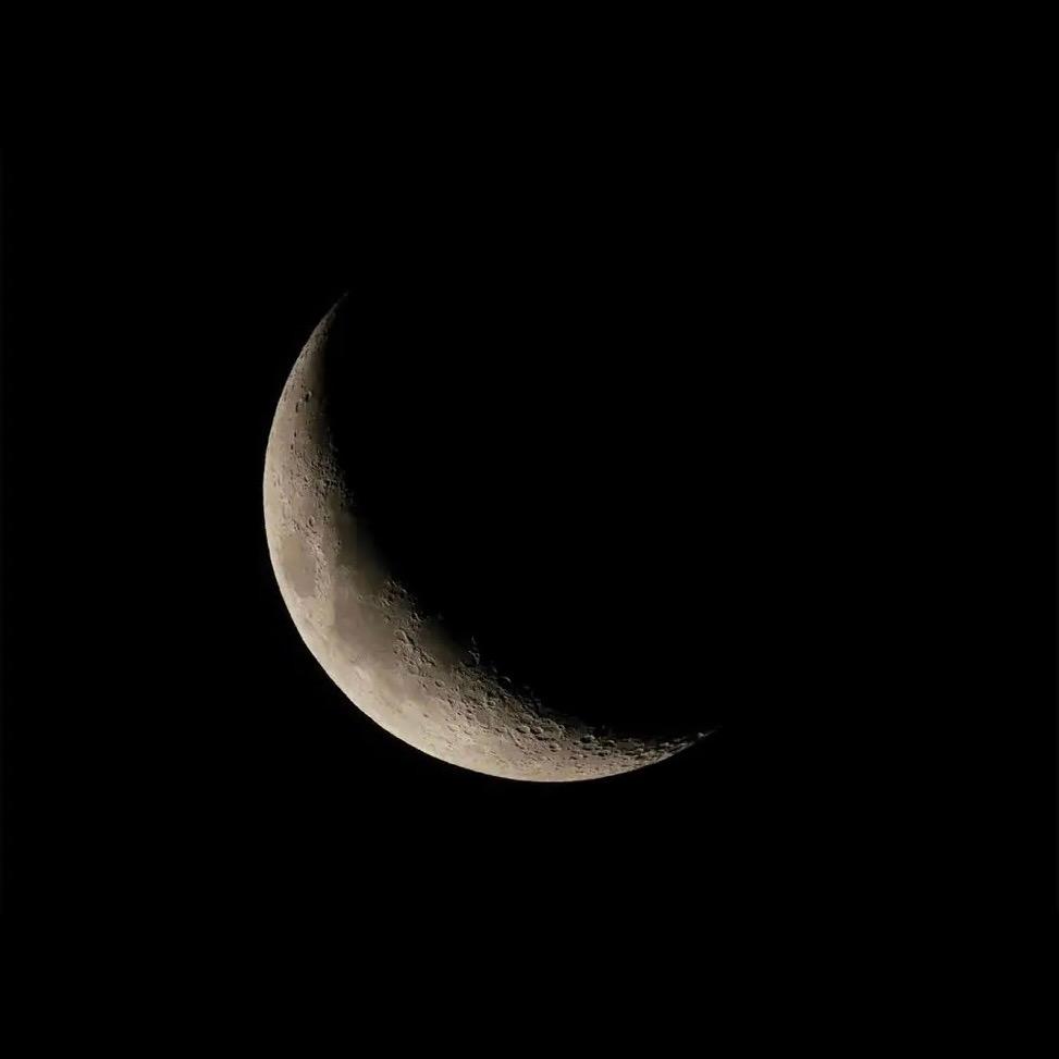 万顺༺ ☯︎༻長生