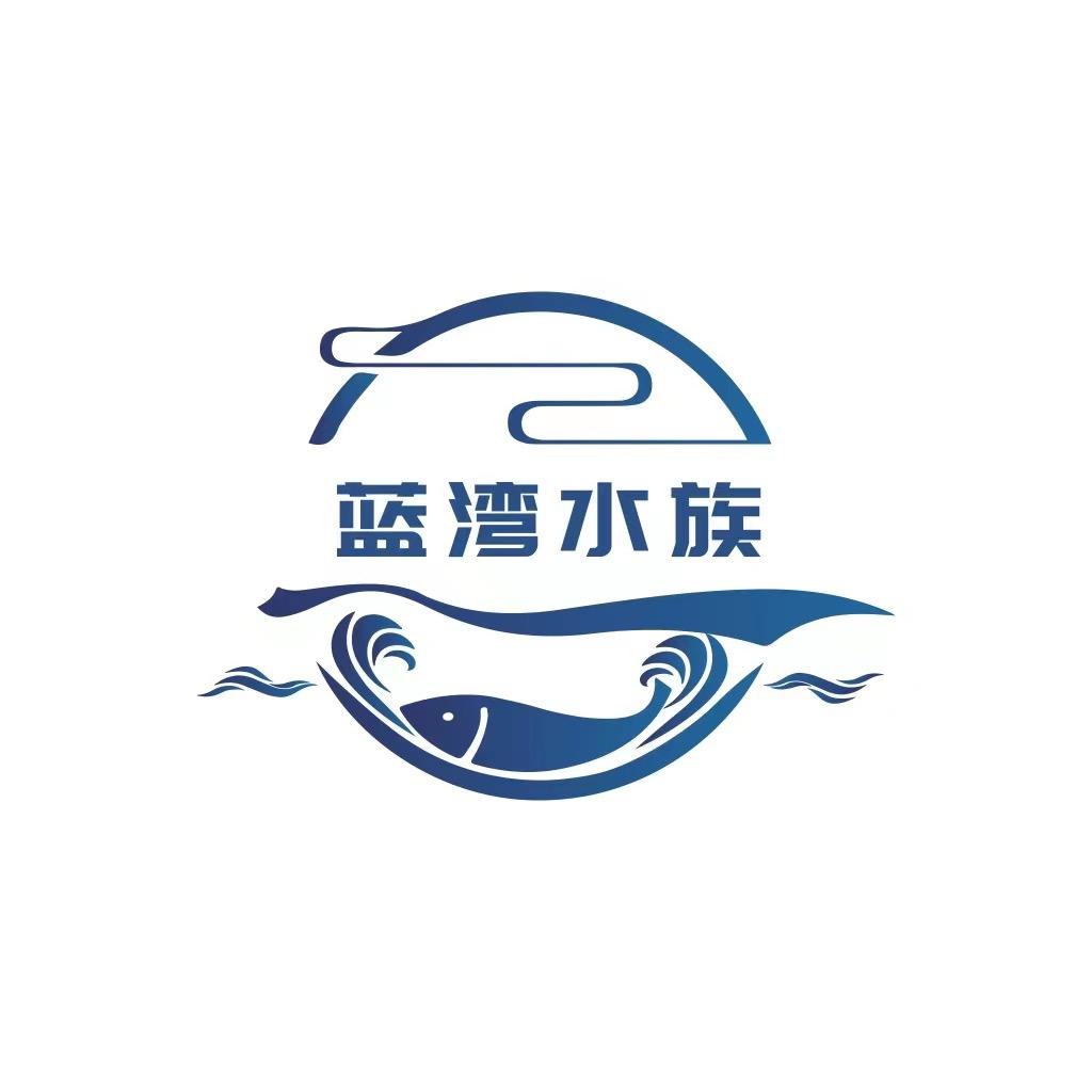 蓝湾精品孔雀鱼