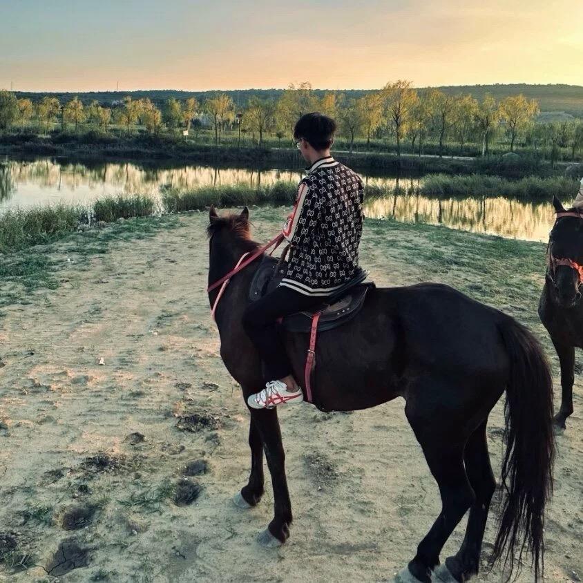 @ 马背上的扬🐴