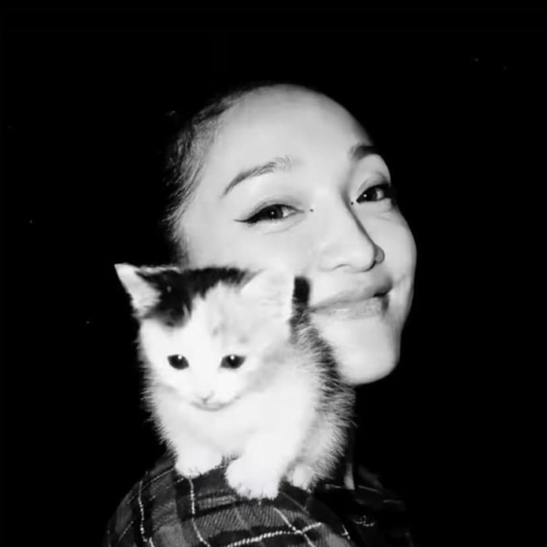 猫·