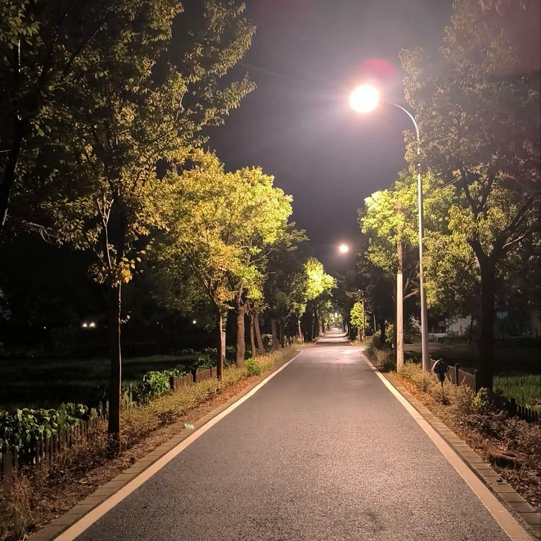 疯狂的唐僧