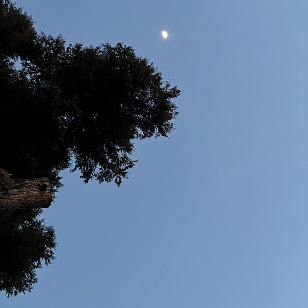 欣欣xx
