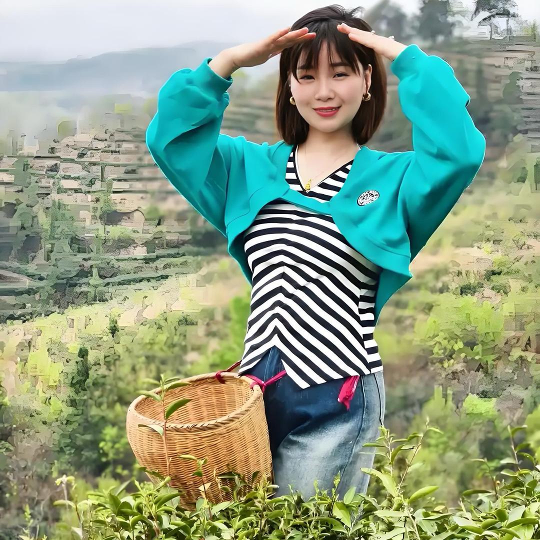 河南信阳毛尖批发