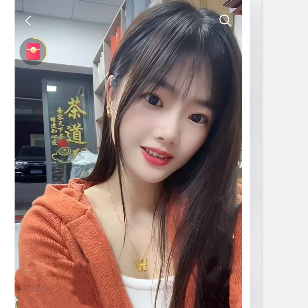 小＊凤凰