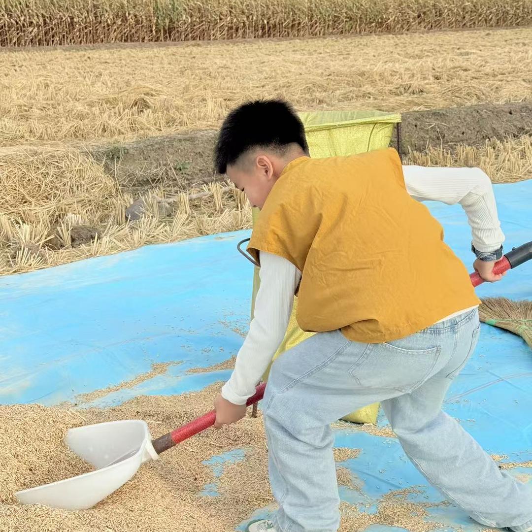 五常吃稻你大米