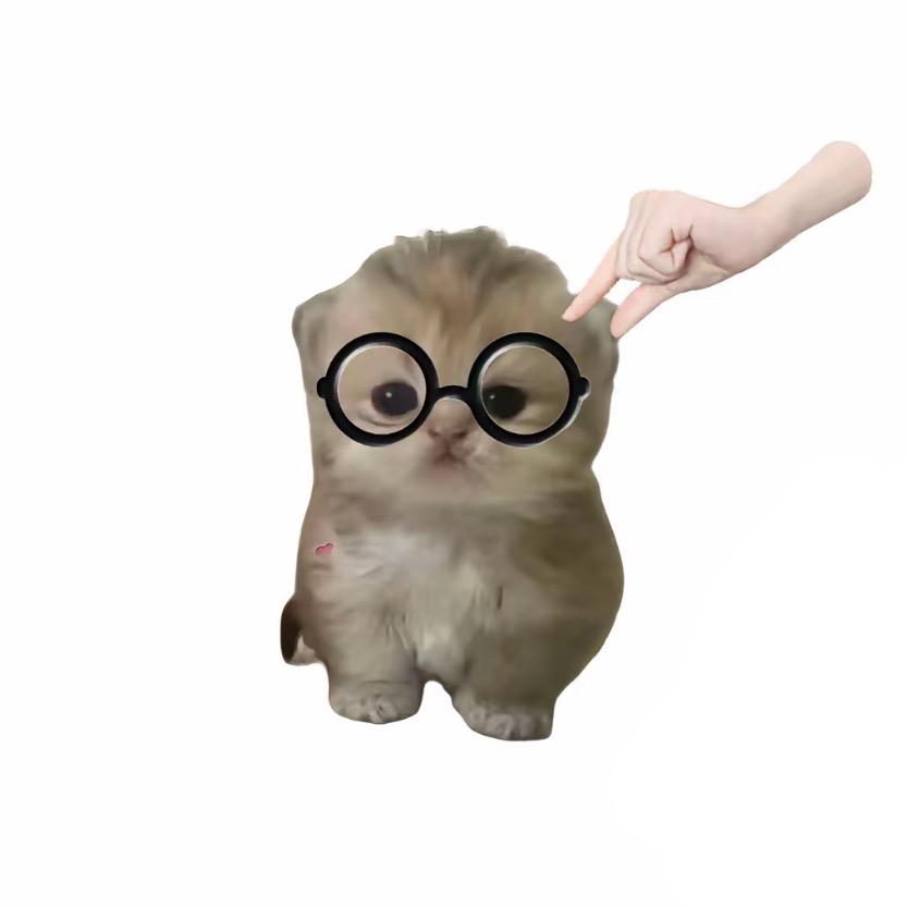 从不打瞌睡