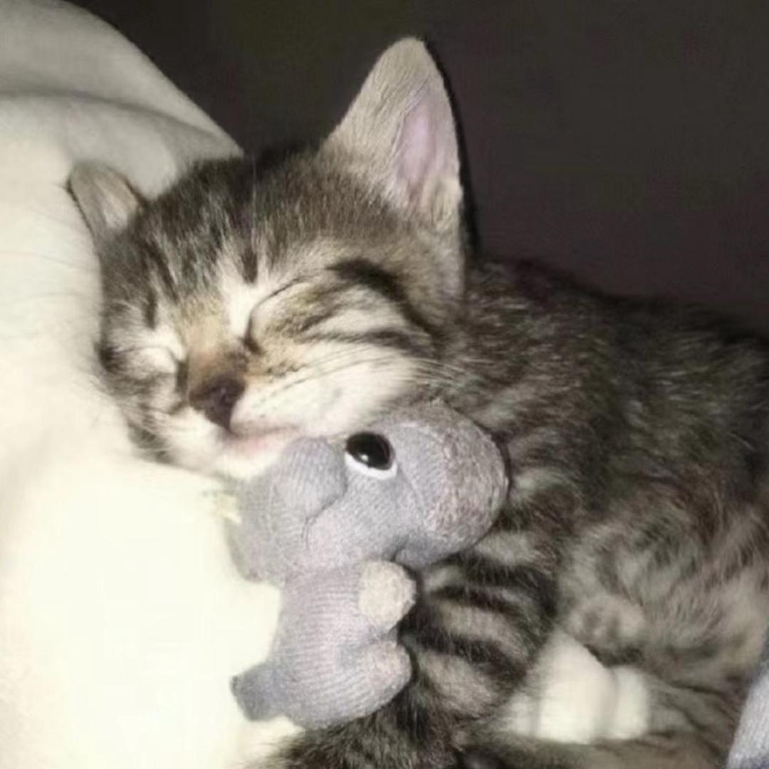 为什么没有无糖可乐