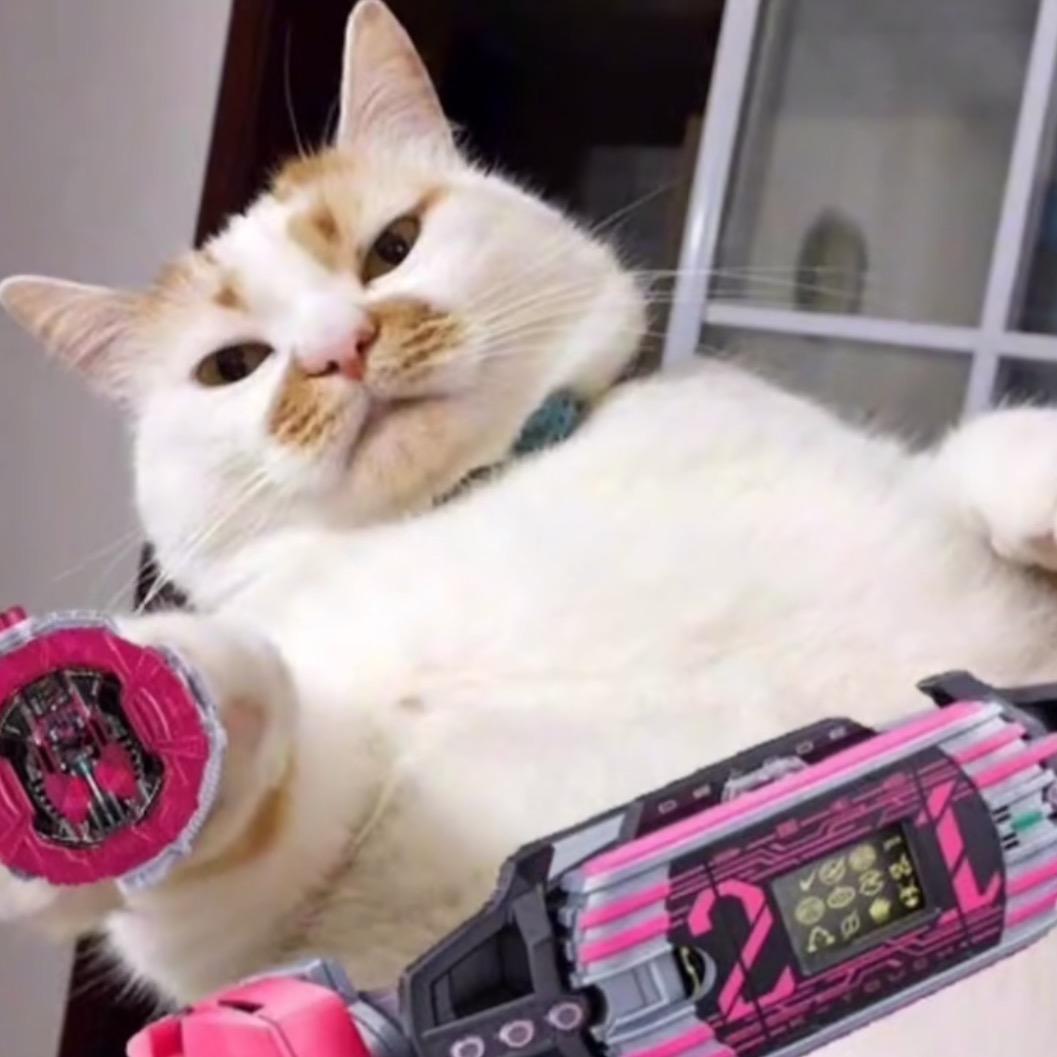 人生何处不青山