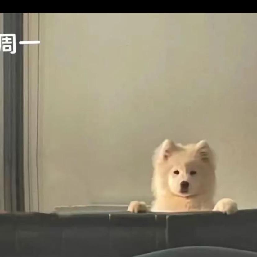 楠颜栀梧