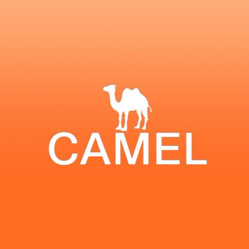 CAMEL骆驼洗护清洁旗舰店