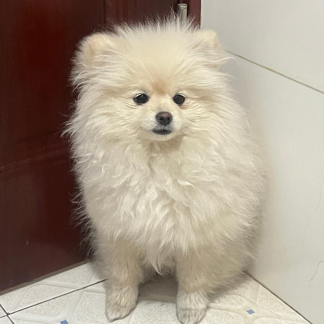 🍬🍬小杰宝贝