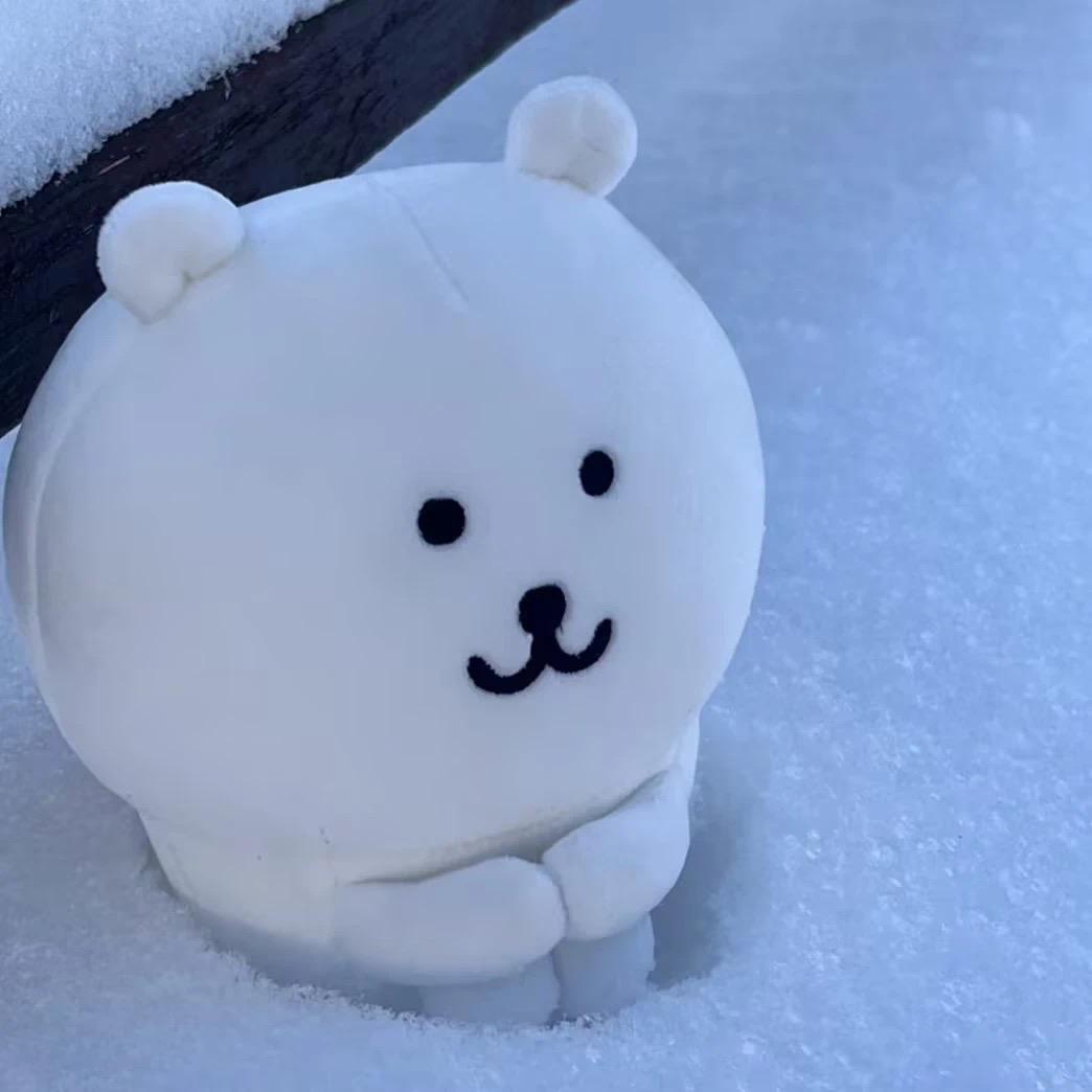 cello（约妆看简介