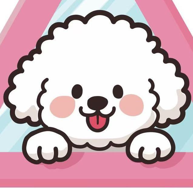 汪美丽宠物-贵阳比熊之家🐶