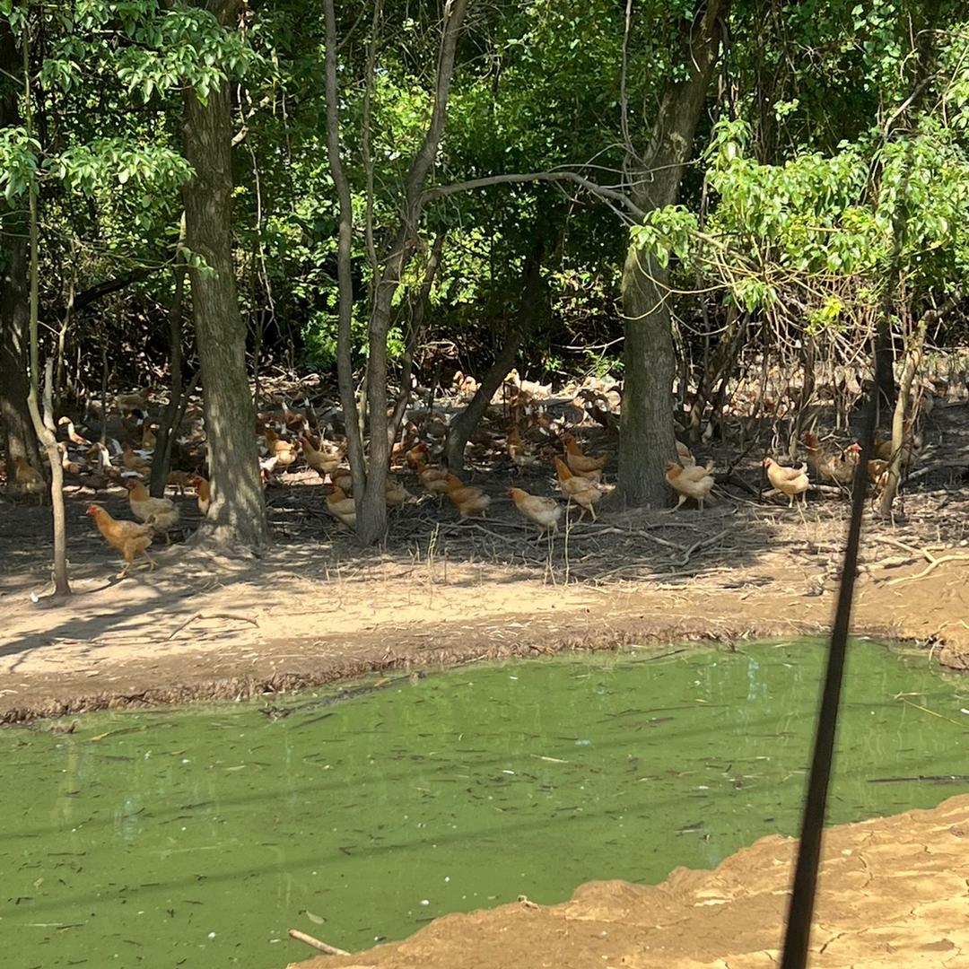 可攻可守生态农业产业园