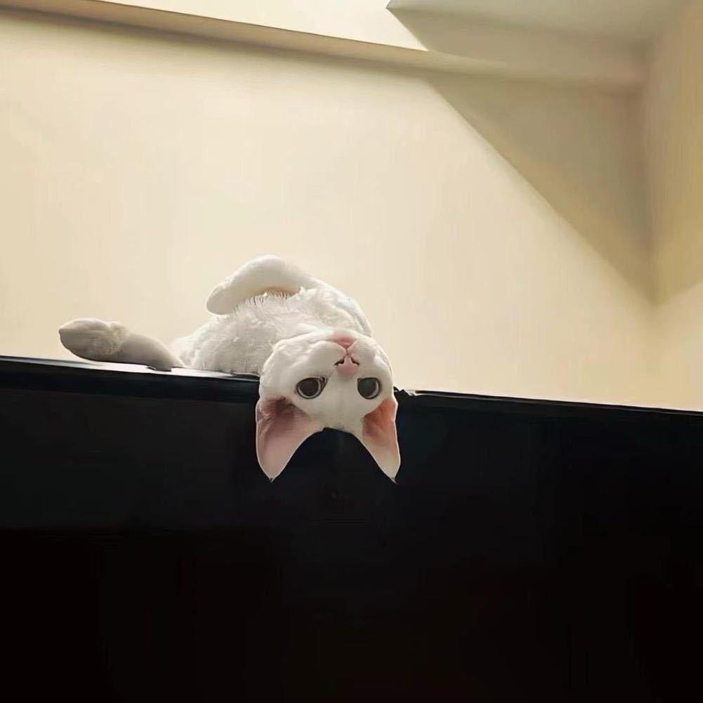 橙汁.