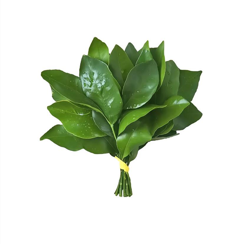 zengyq