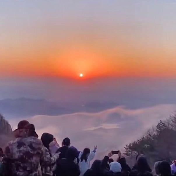 爱的阳光