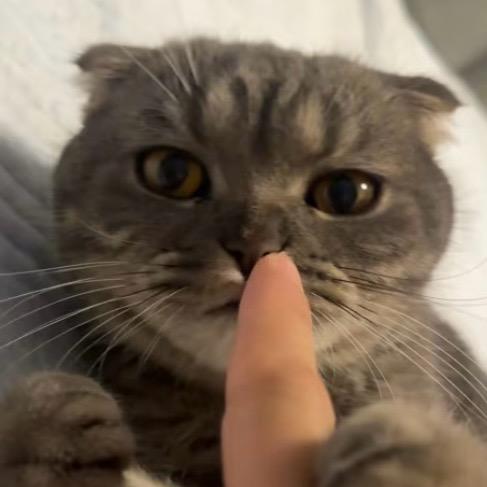 愈.