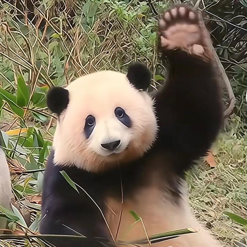 东站余生@👨🏻‍🎓