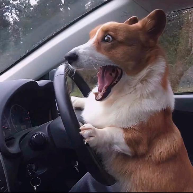 ღ᭄巴巴ꫛꫀꪟ