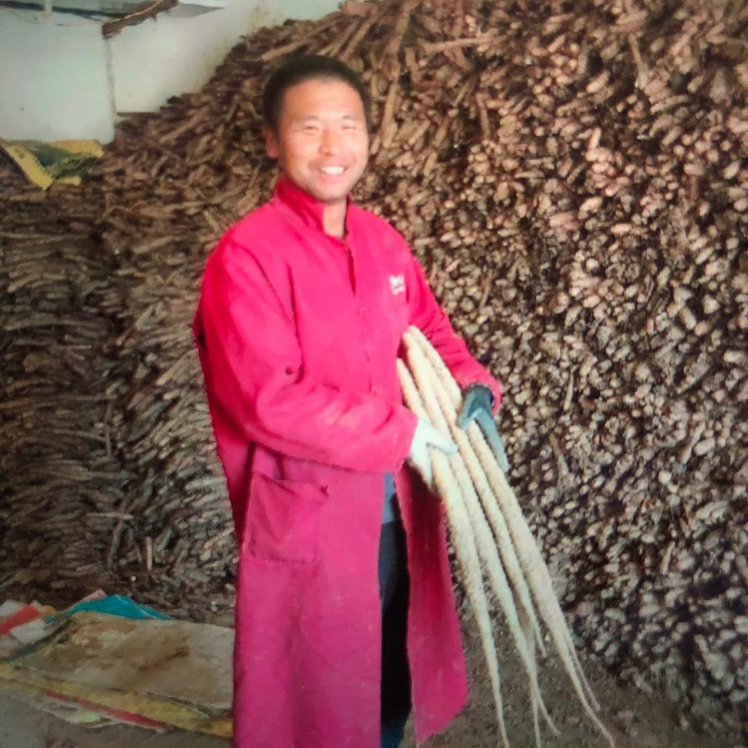 河北山药代办老黑