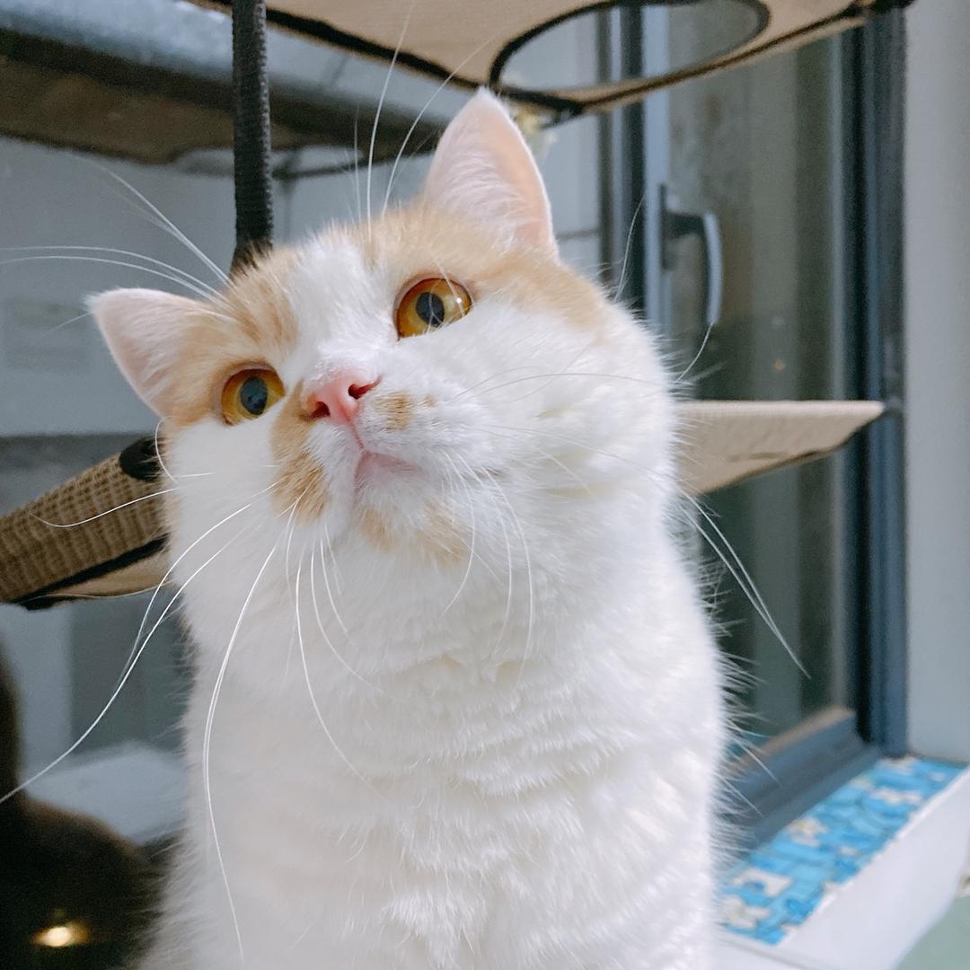 三三同学🍀🌈