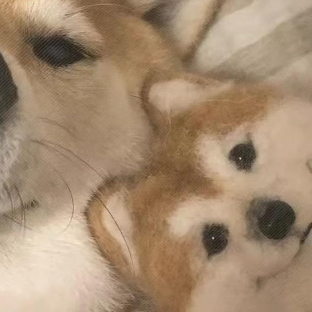 不蓜.＠