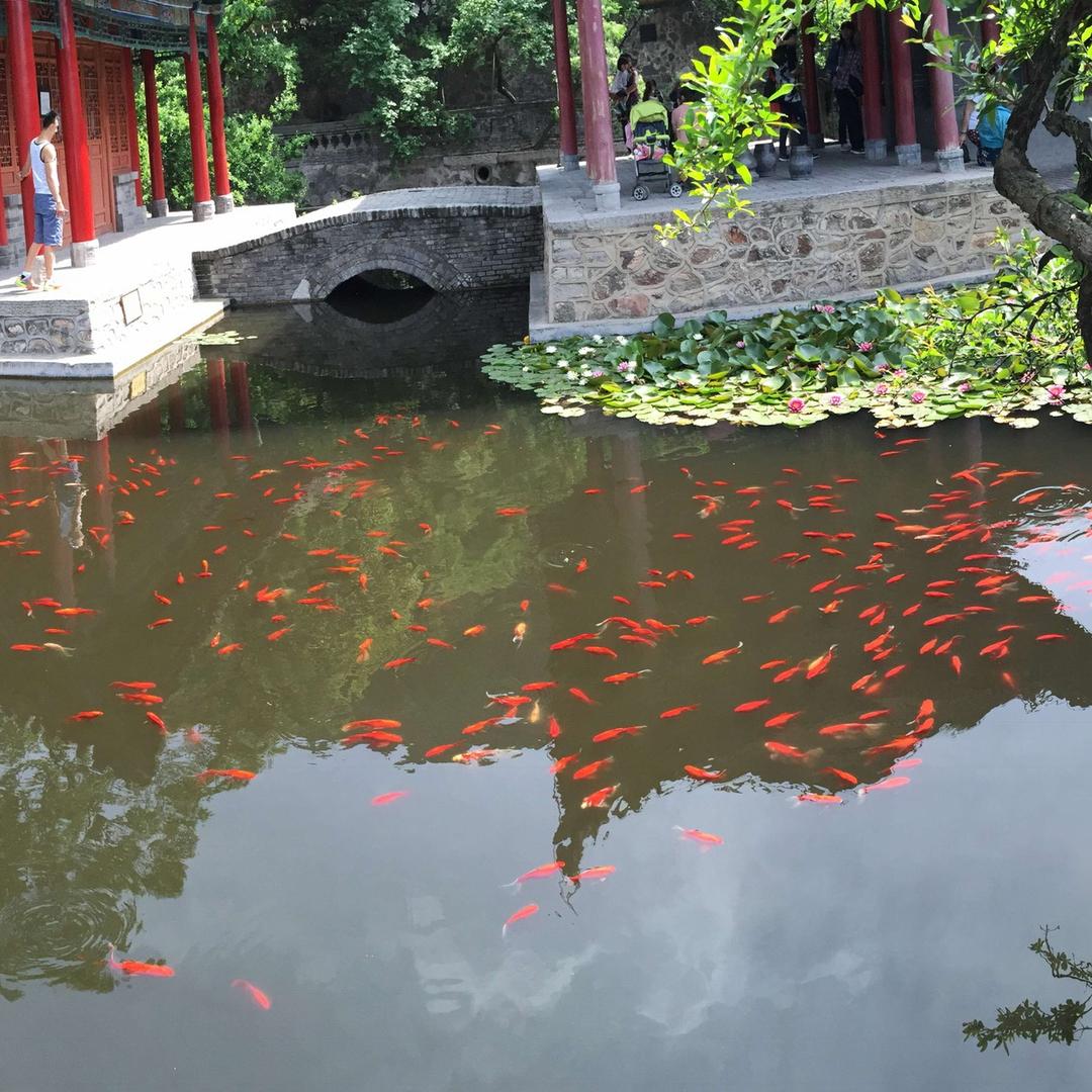 我是打辅助的