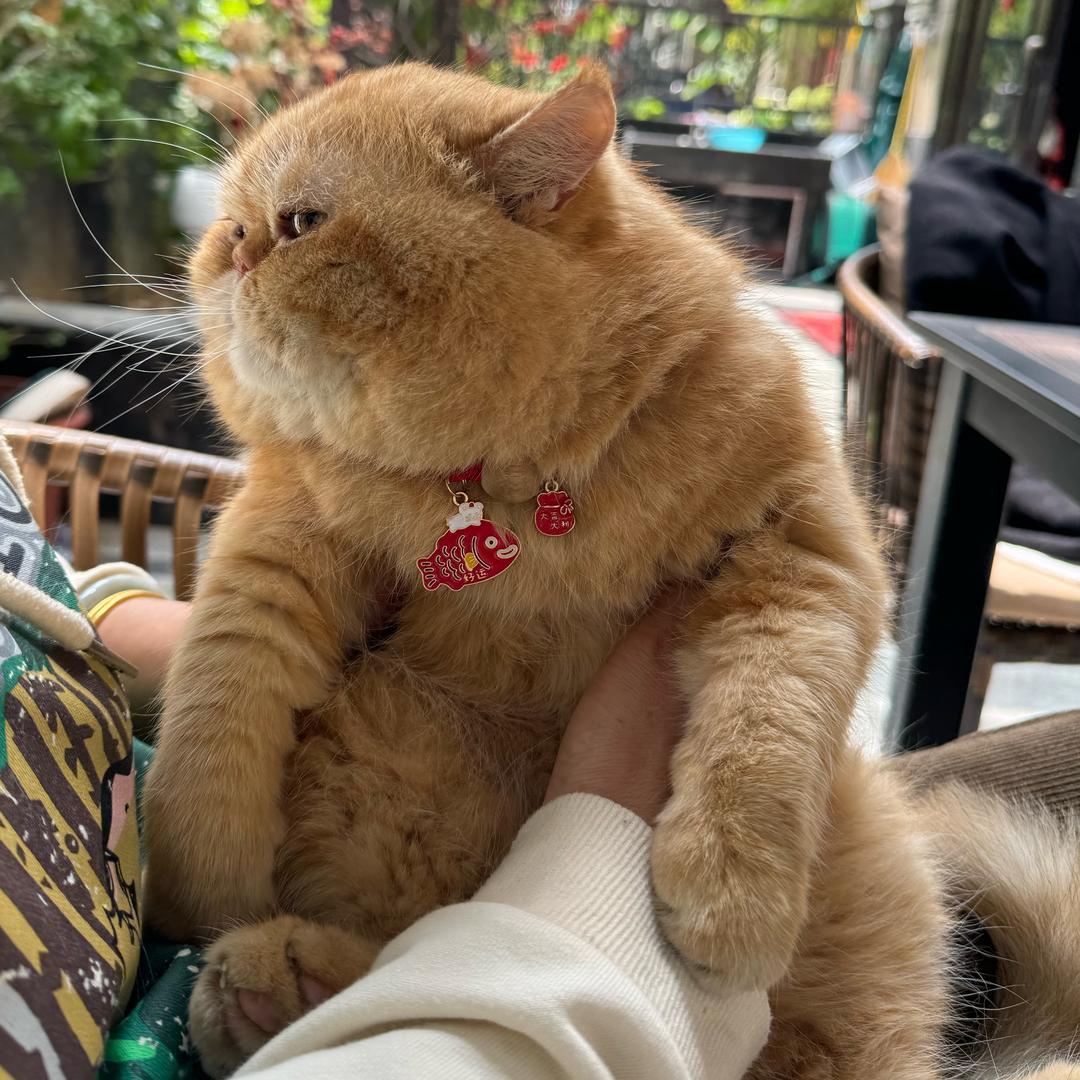 小甜瓜💢