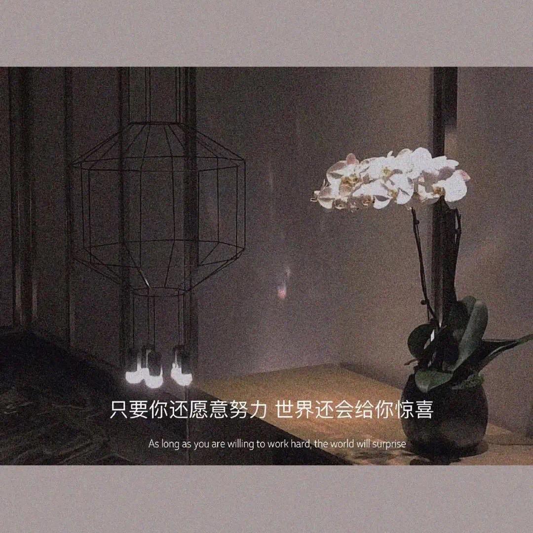 已停更，一切随缘