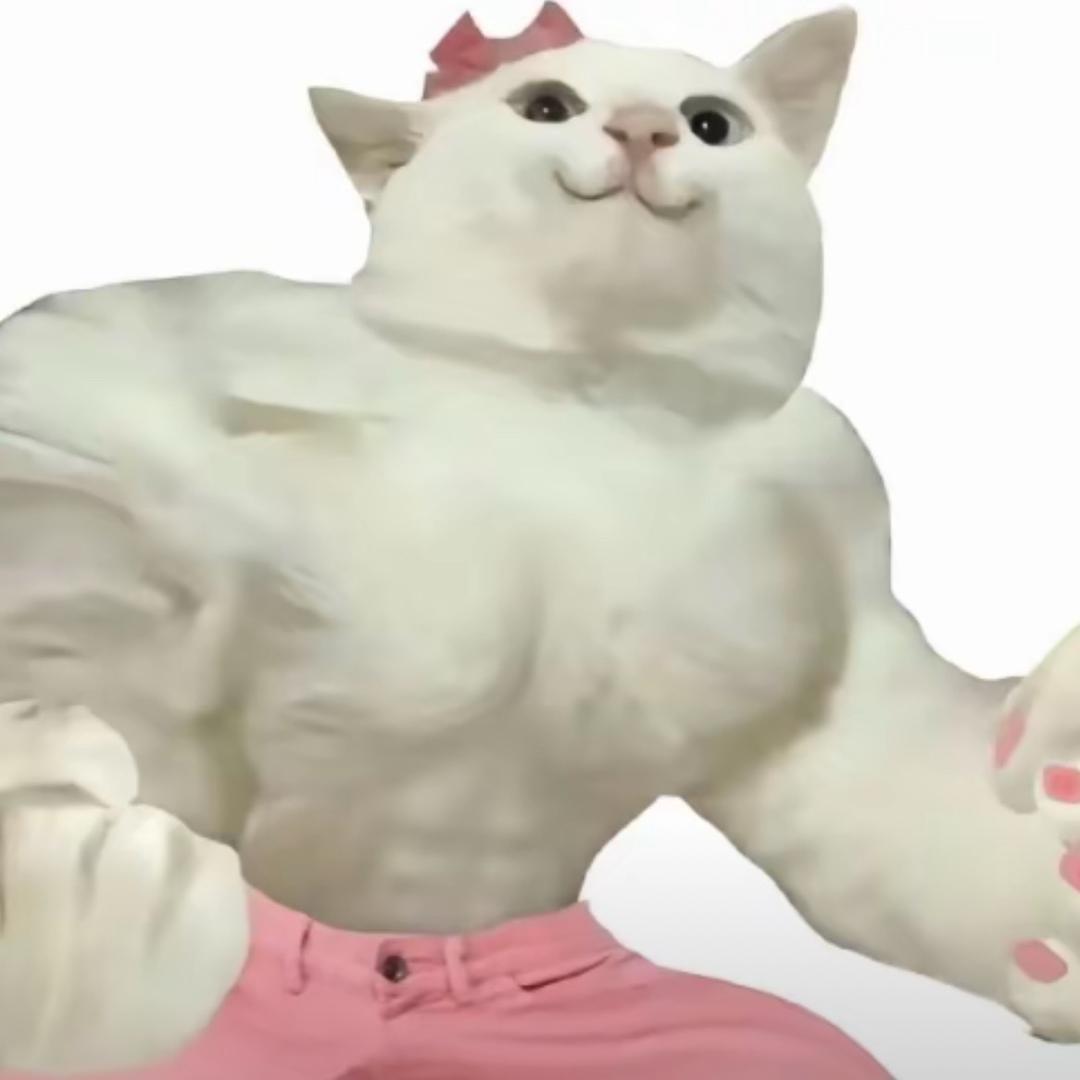 茉酸奶