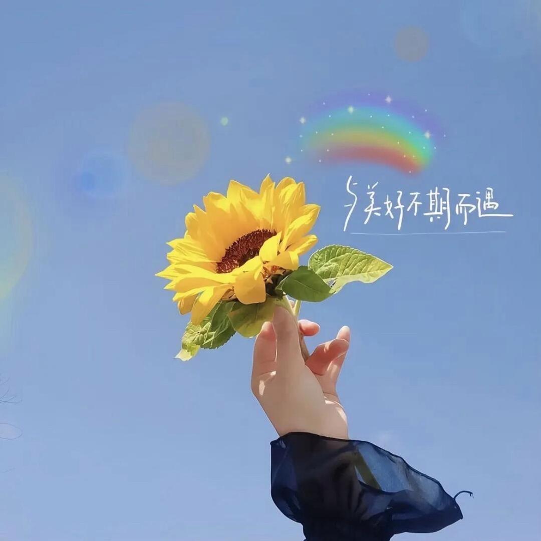 ╰〆浅暮流殇°