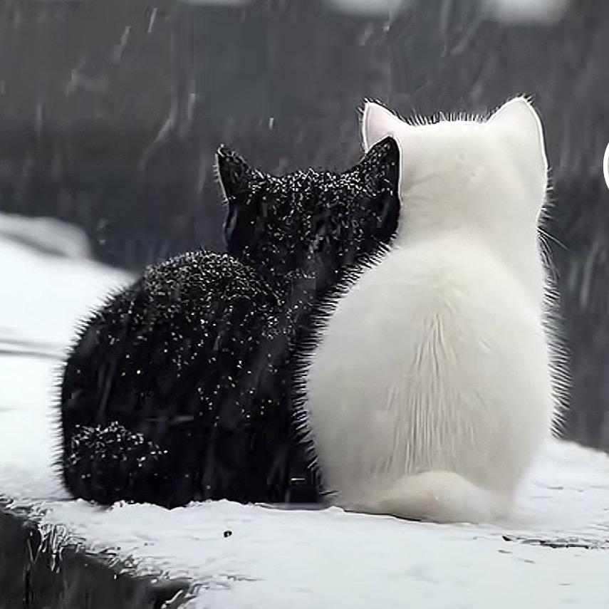 生。