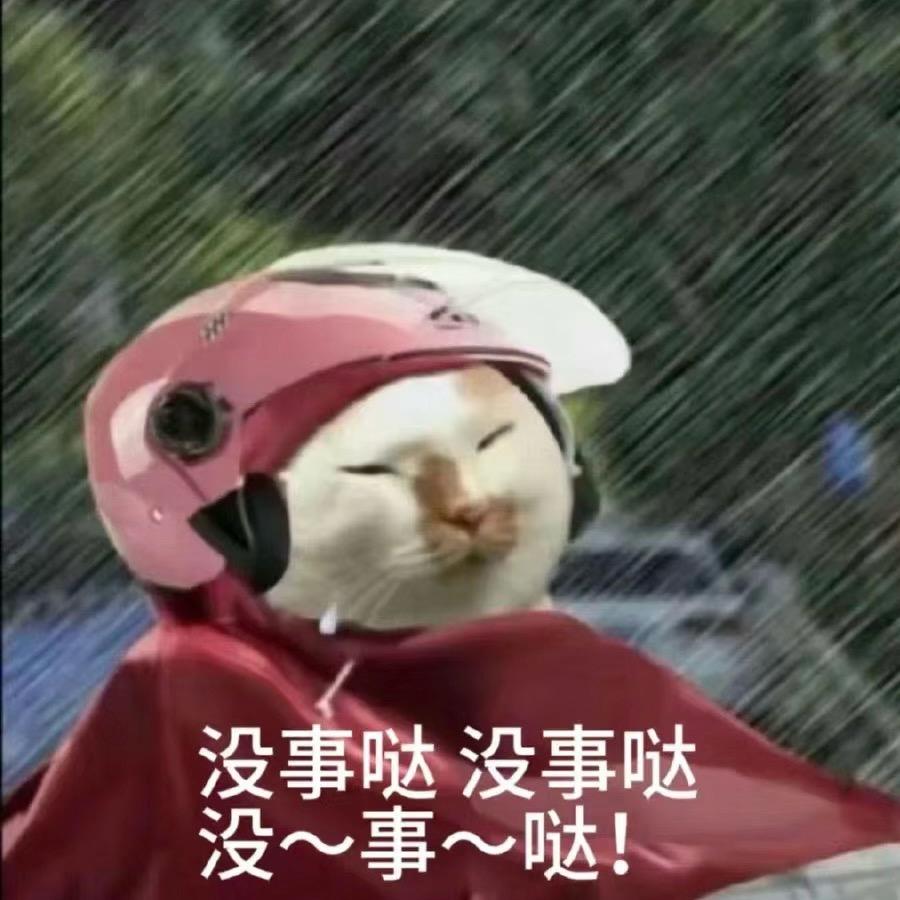 梦寐以求是真爱和自由