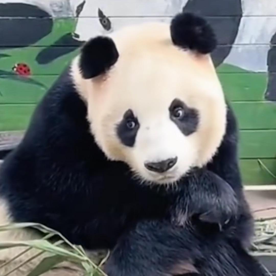 @家宏