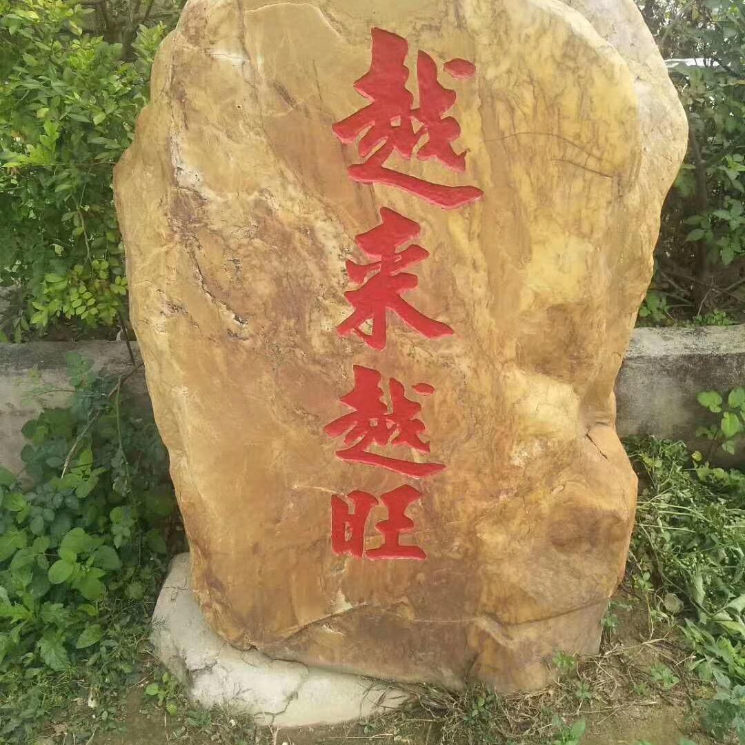 谁伴我闯湯